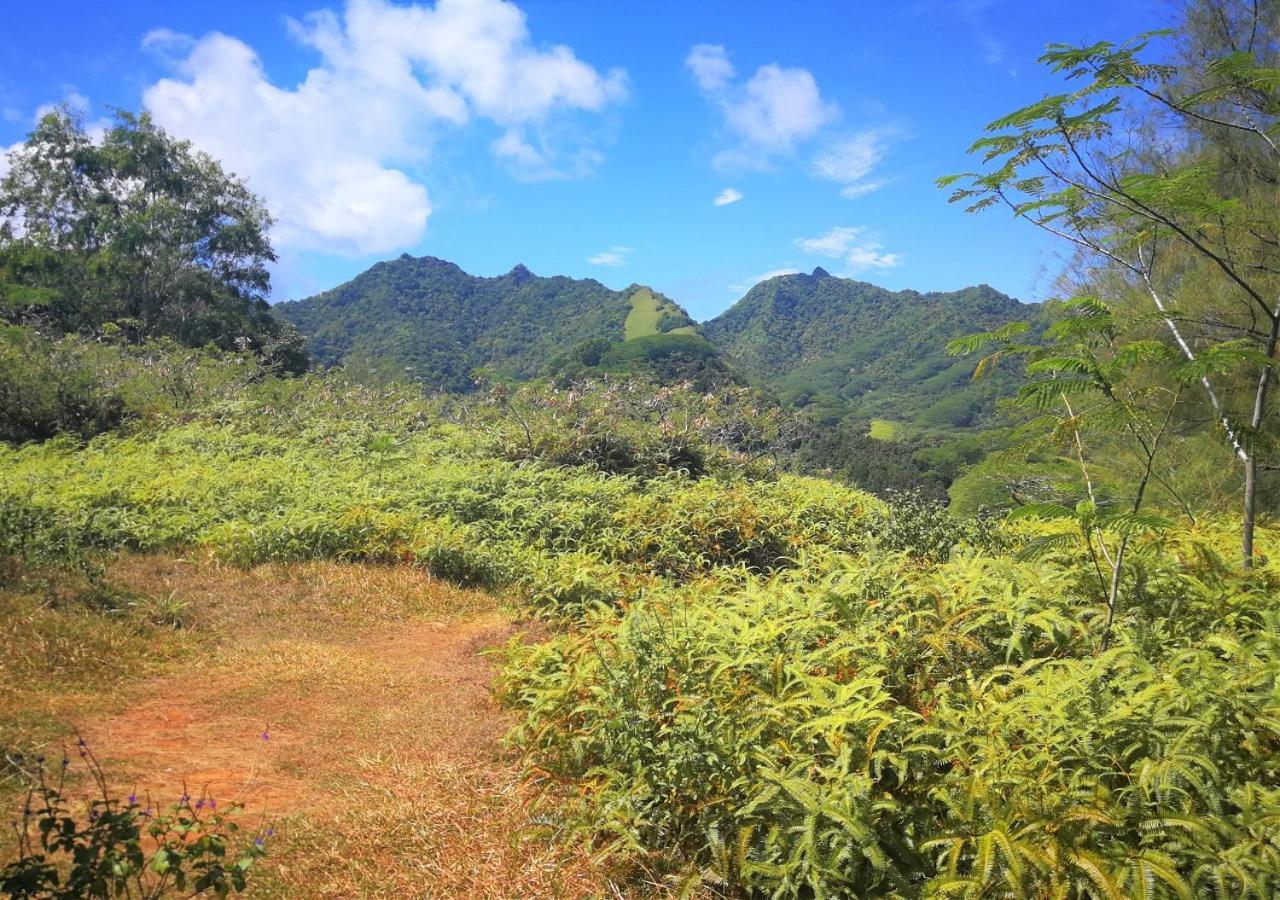 Vila Rarotonga Golfseaview Exteriér fotografie